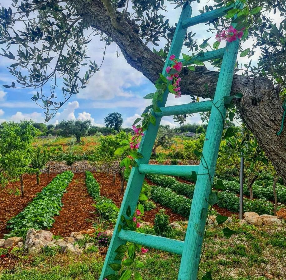 Trulli Pax Animi Villa Martina Franca Eksteriør billede