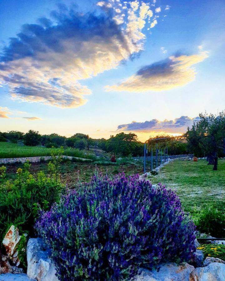 Trulli Pax Animi Villa Martina Franca Eksteriør billede