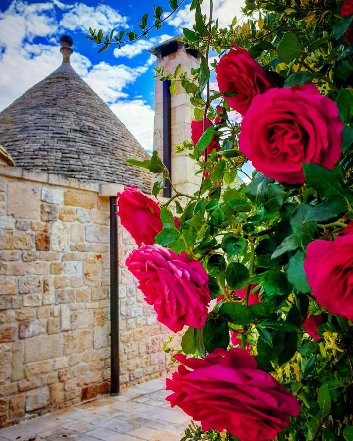 Trulli Pax Animi Villa Martina Franca Eksteriør billede